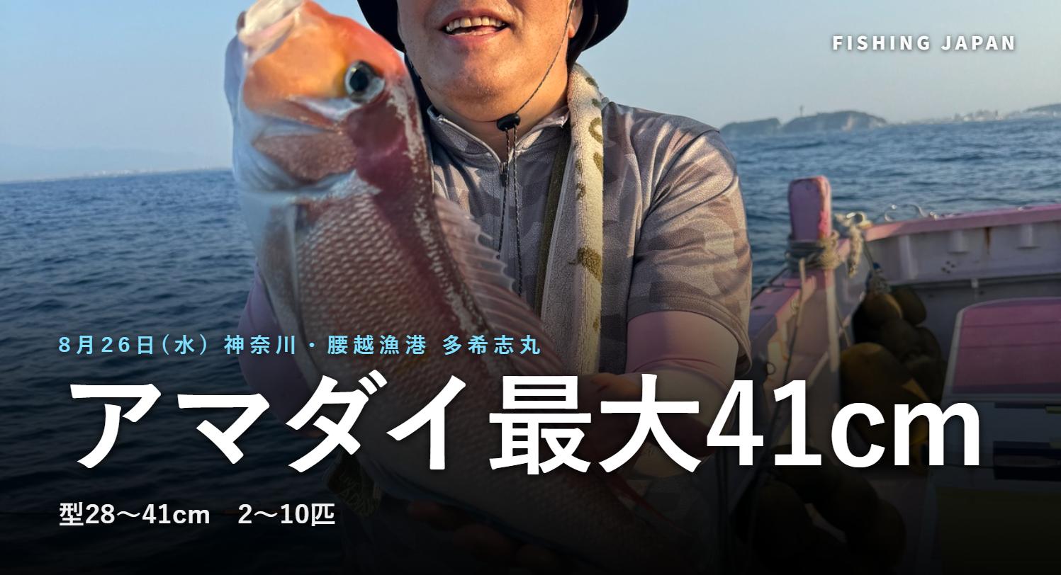 多希志丸のアマダイ釣果(神奈川県鎌倉市・腰越漁港)