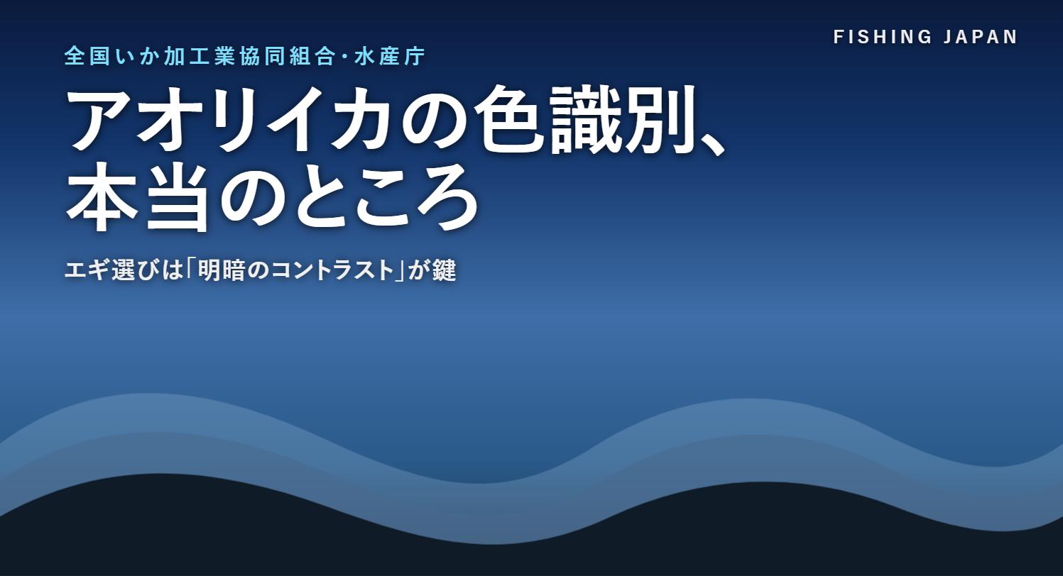 アオリイカと色覚をイメージした画像