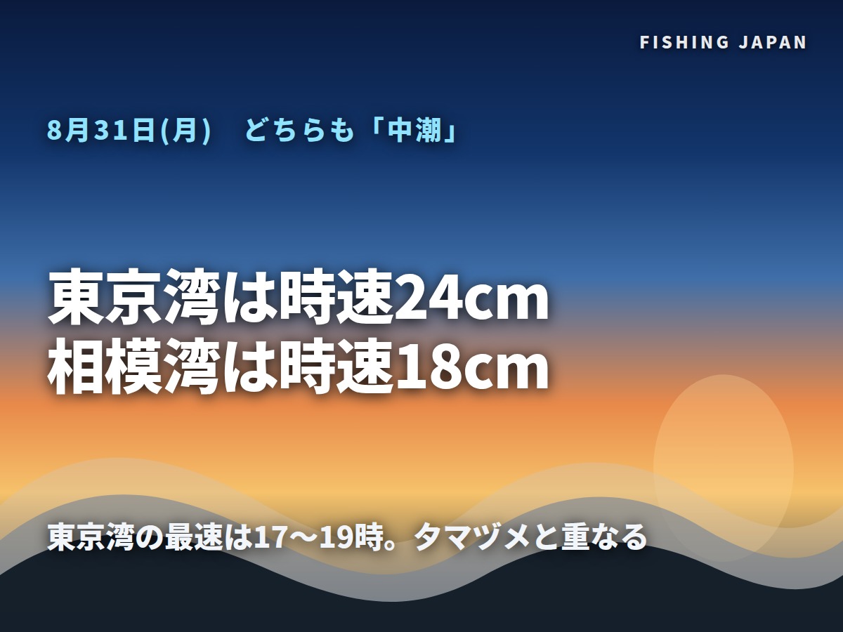 8月31日の東京湾と相模湾の潮の速さをまとめた図