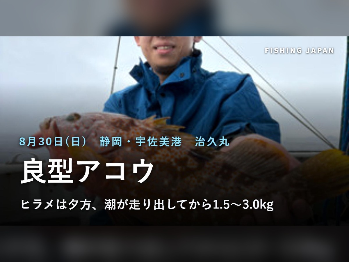 治久丸で釣れた良型のアコウ