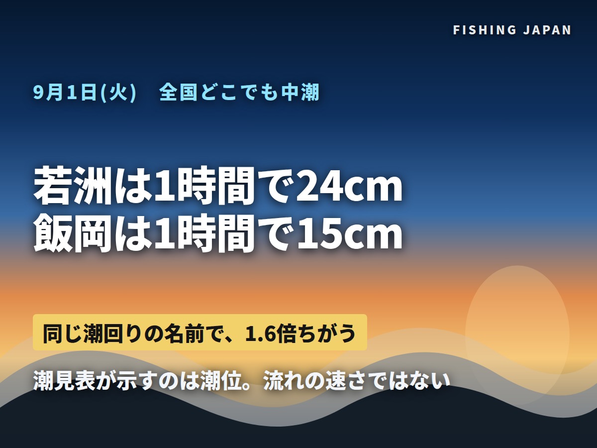 9月1日の潮 若洲は1時間で24cm 飯岡は15cm
