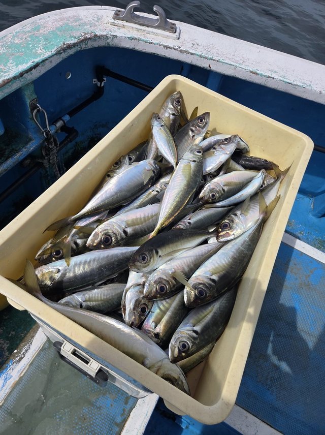 釣果