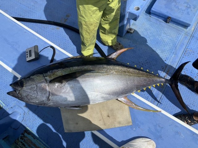 釣果