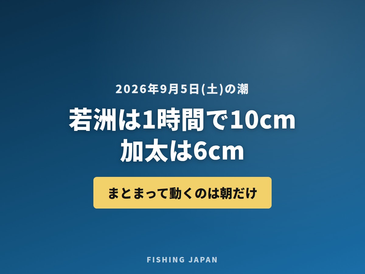 9月5日(土)の潮 若洲は1時間で10cm 加太は6cm