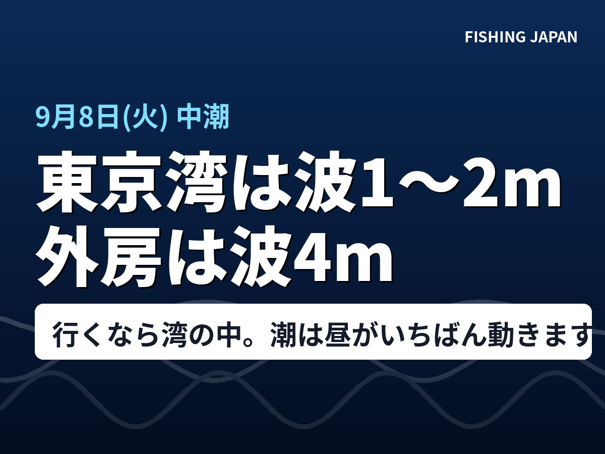 9月8日(火)の東京湾と外房の波の高さ