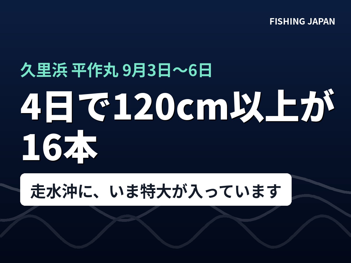 久里浜・平作丸の4日間のタチウオ釣果と120cm以上の本数