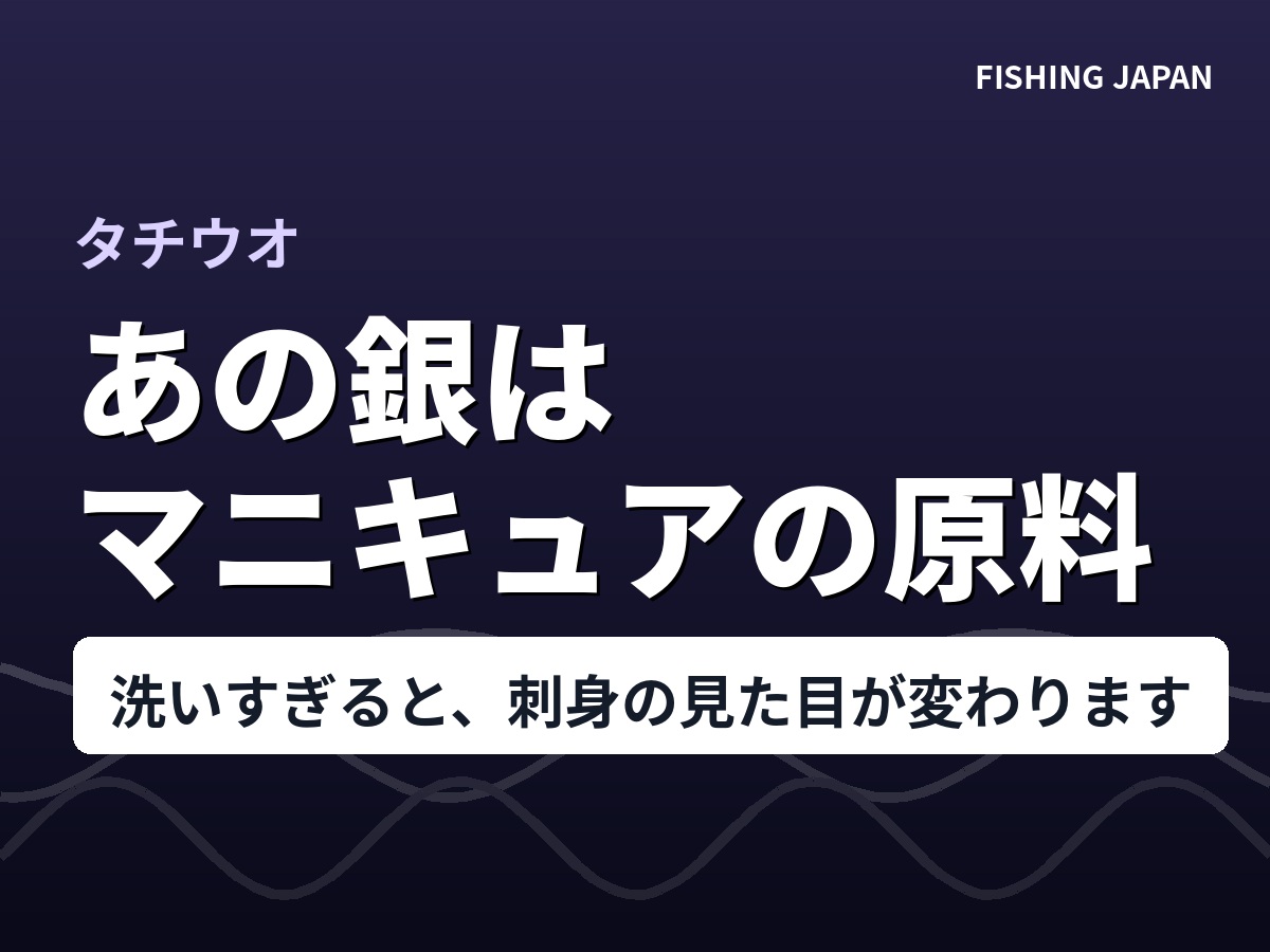 タチウオの銀色の正体グアニンと和歌山の郷土料理ほねく
