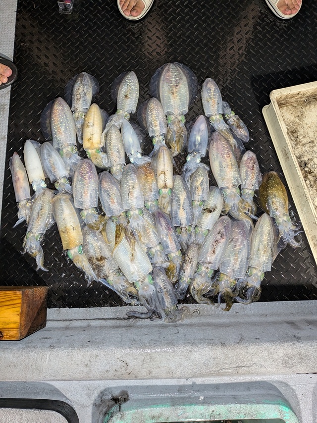 釣果