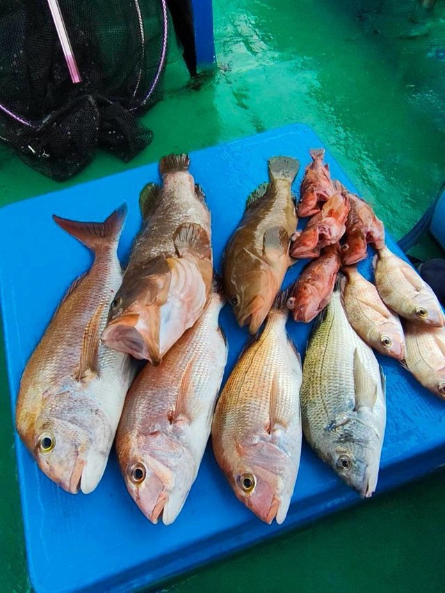釣果