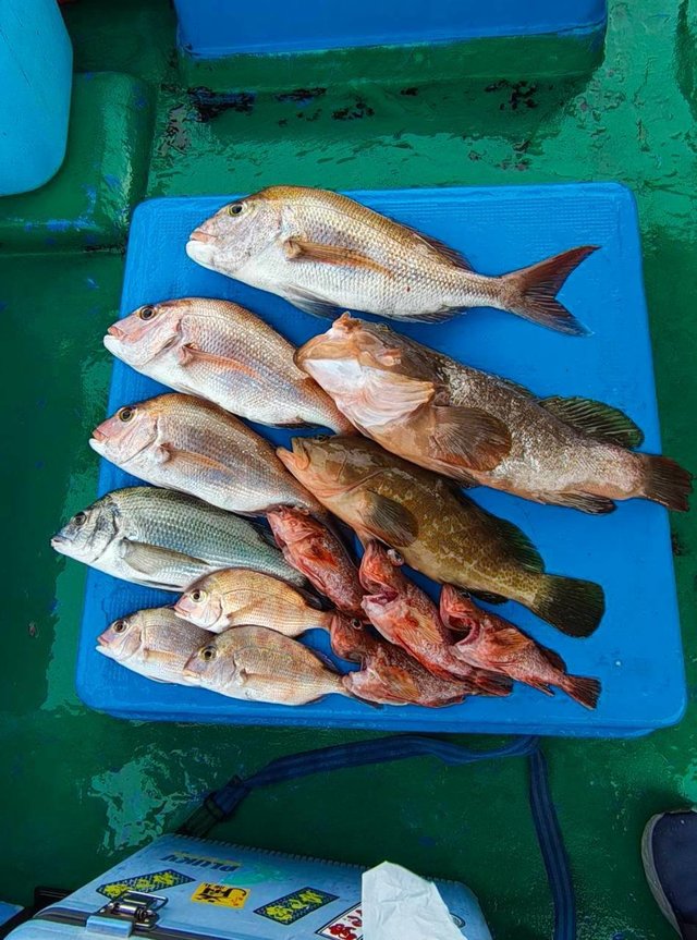 釣果