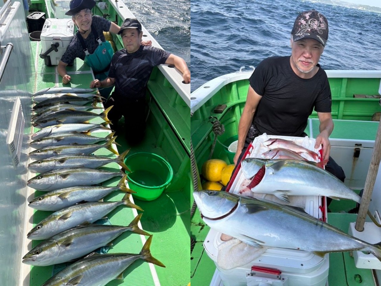 【釣果速報】神奈川県あまさけや丸の釣果が超壮観！ワラサ大行列！食い気抜群！あなたも数釣りを楽しもう！