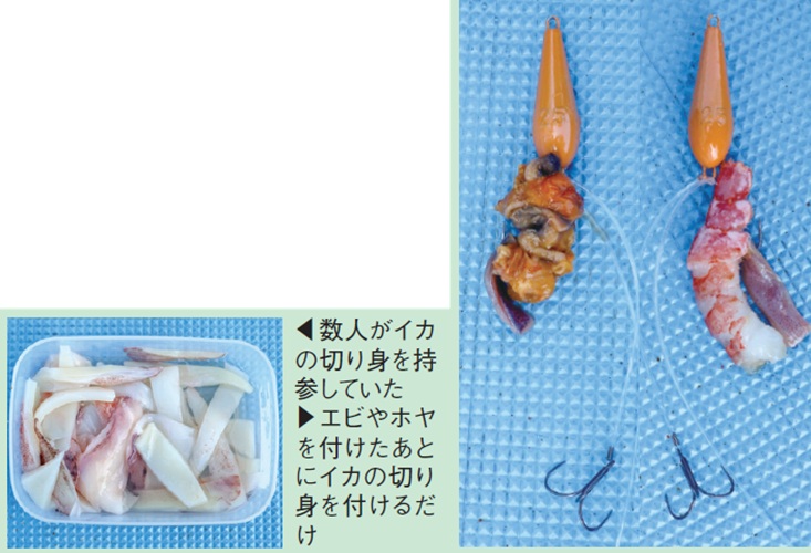 エサの写真