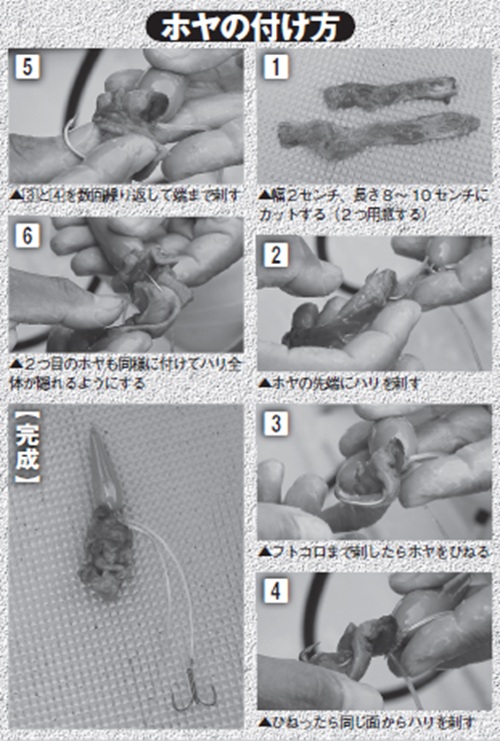 ホヤの付け方の写真