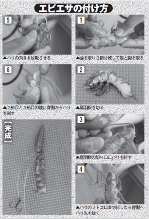 エビエサの付け方の写真