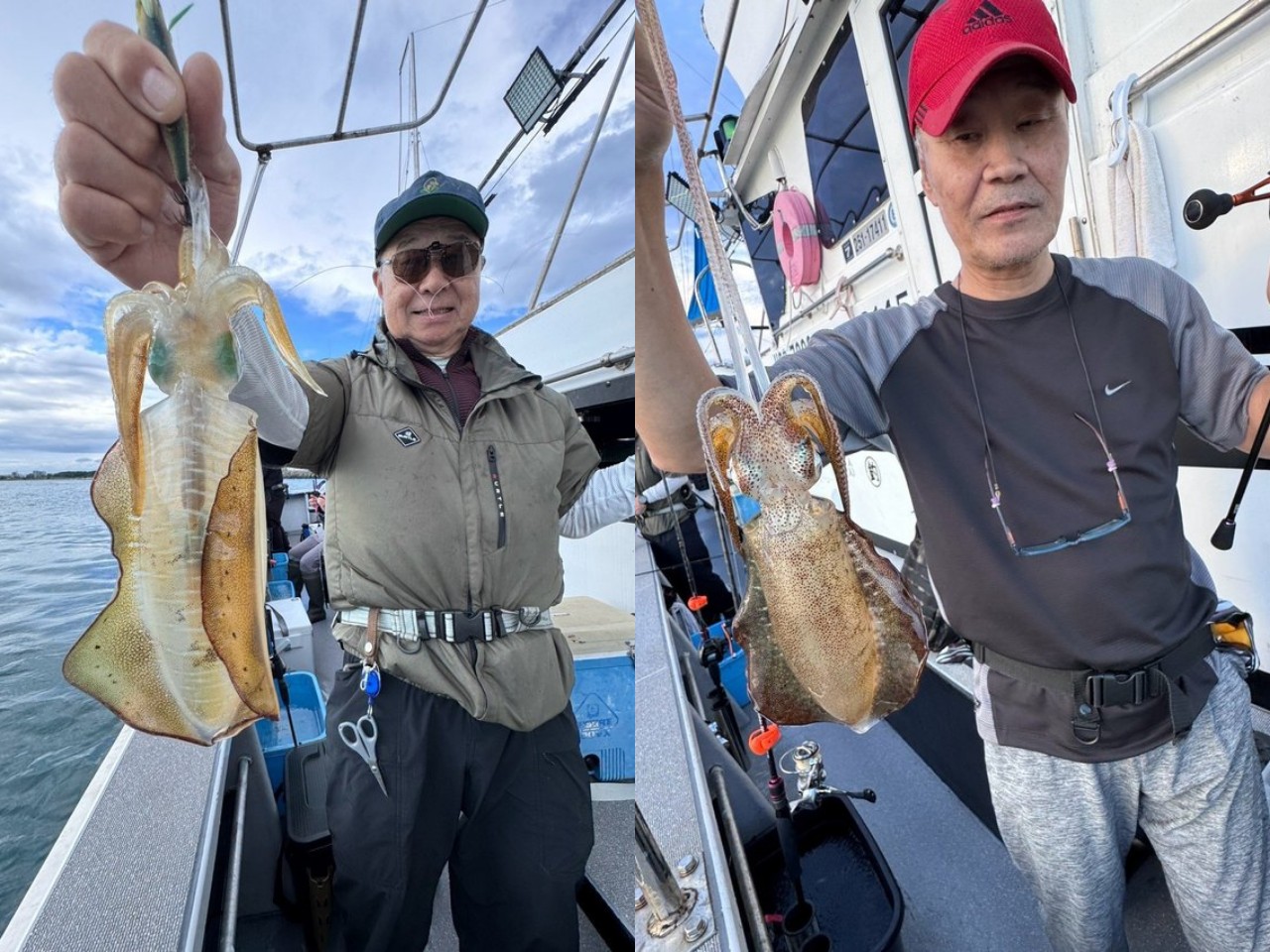 【釣果速報】兵庫県海蓮丸でアオリイカが好調！サイズもUP！旬のシーズンを絶対に逃すな！