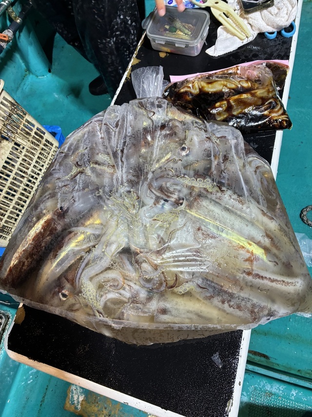 釣果