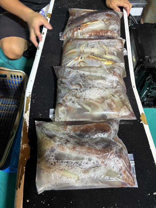 釣果