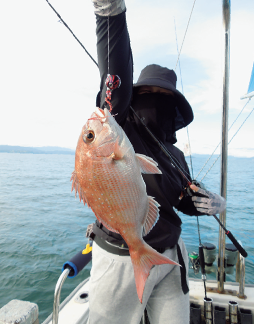 釣行の写真