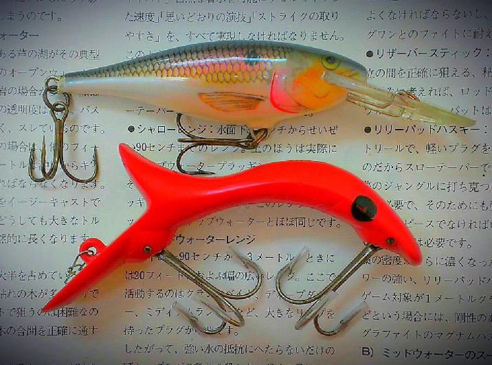 ルアー釣り用語をパーフェクトに覚えて使いこなそう!ヌから始まる専門用語をピックアップ【5選】