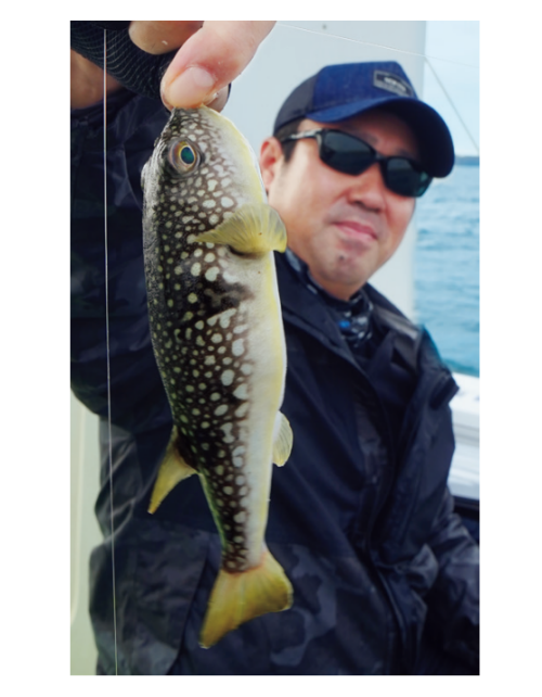 釣行の写真