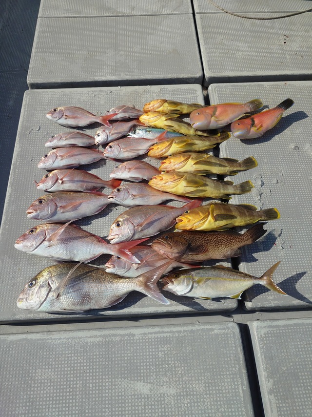 釣果