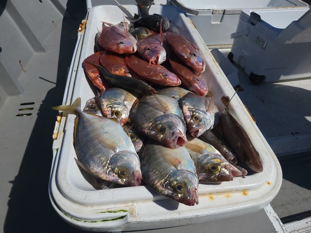釣果