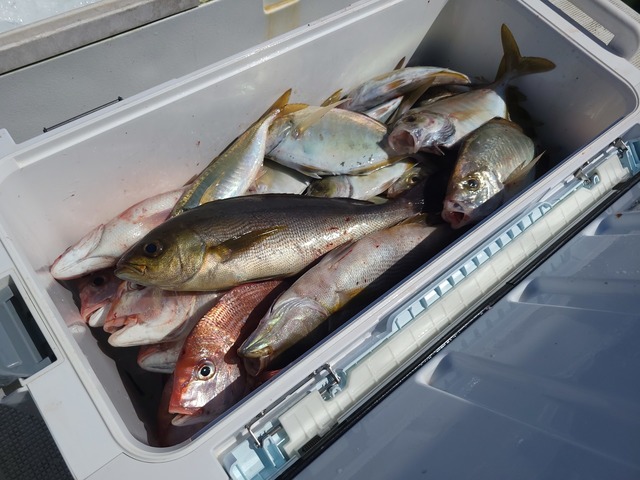 釣果