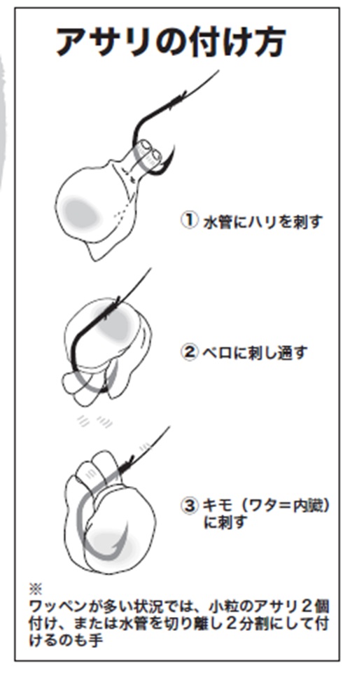 アサリの付け方の図