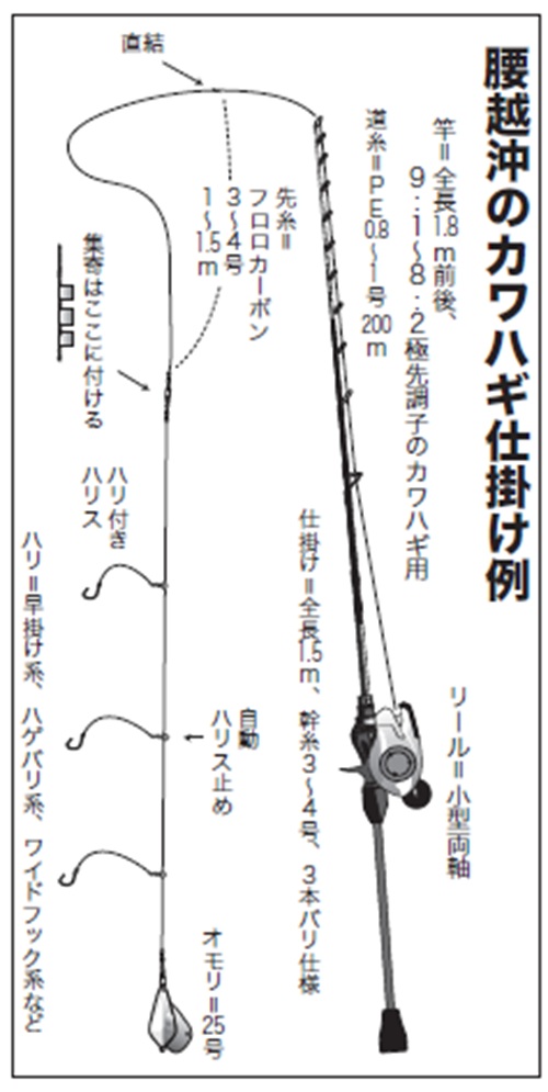 仕掛けの図