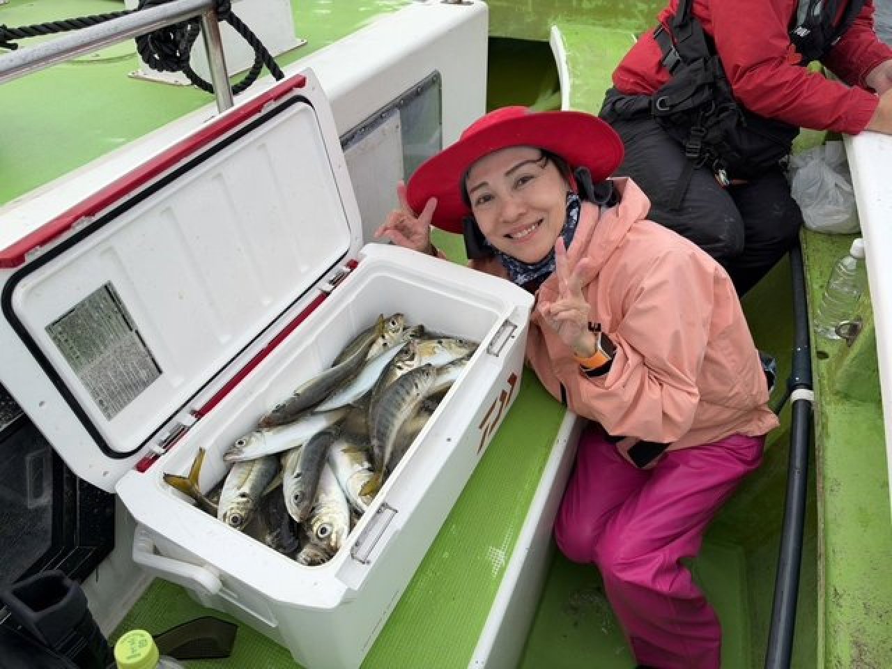 【釣果速報】神奈川県政信丸でアジ好調！竿頭は60匹！質も量も大満足の釣行を楽しもう！