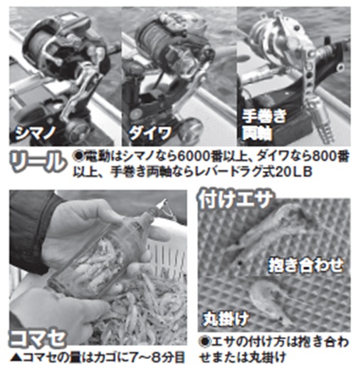 仕掛けの写真