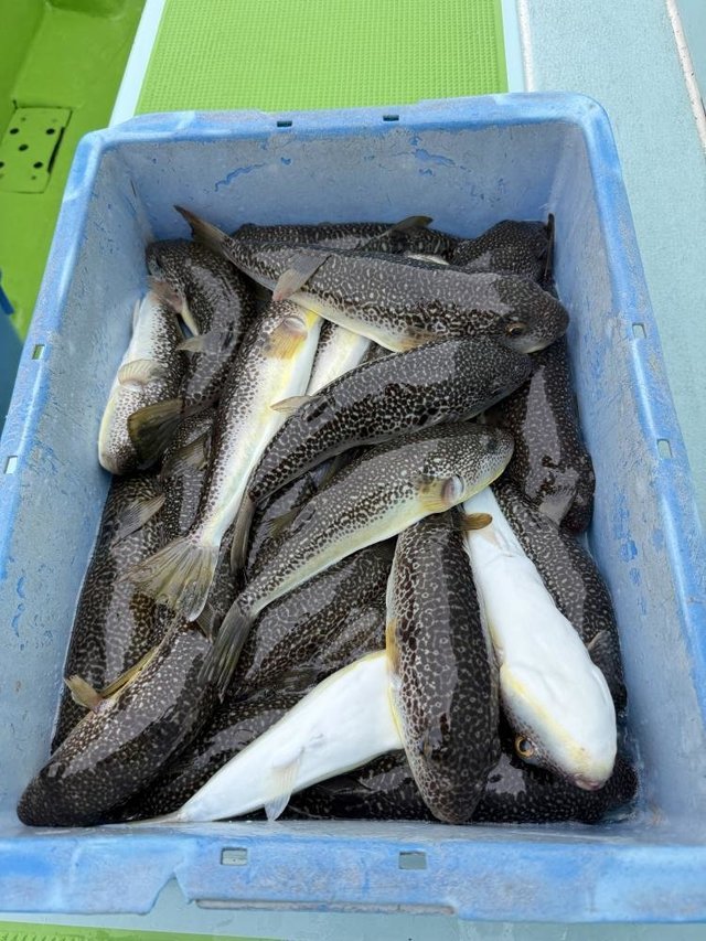 釣果