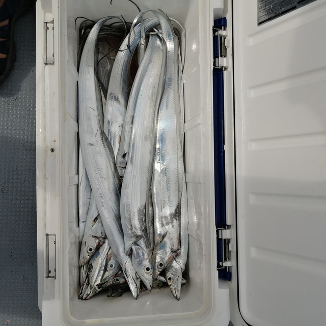 釣果