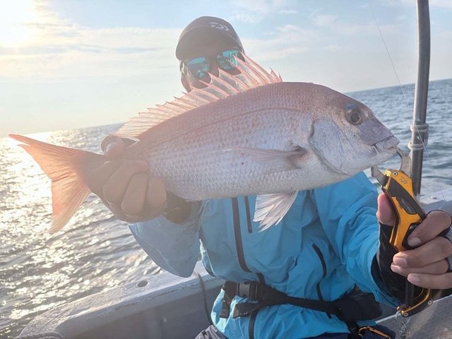 釣果