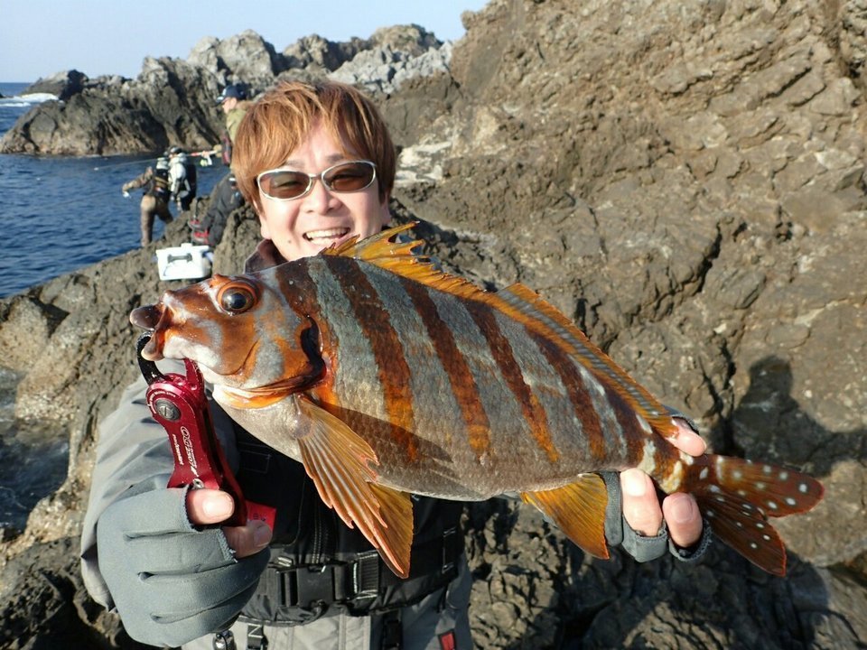 本命のグレを狙うには 磯釣りで釣れる魚をもっと知っておこう サンノジ ヒメジ タカノハダイについて徹底紹介