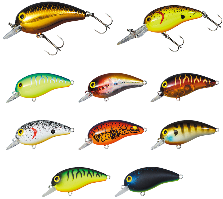 ルアー　カラー　写真