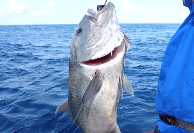 ルアー　魚　写真