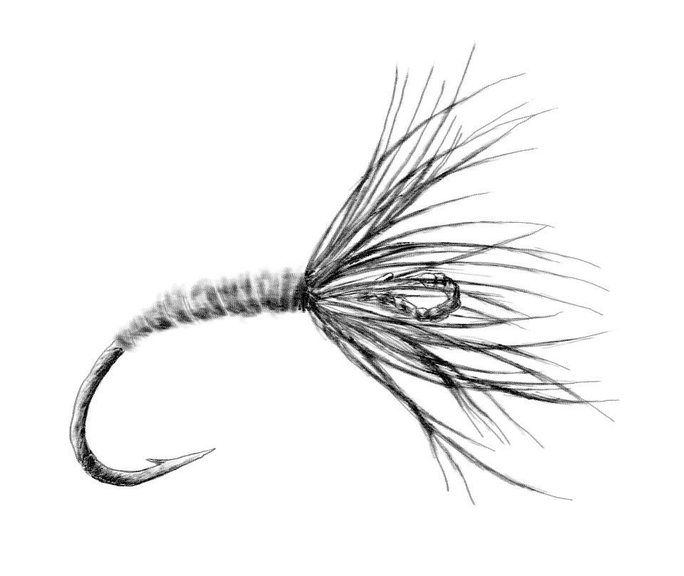 毛ばり　イラスト　画像