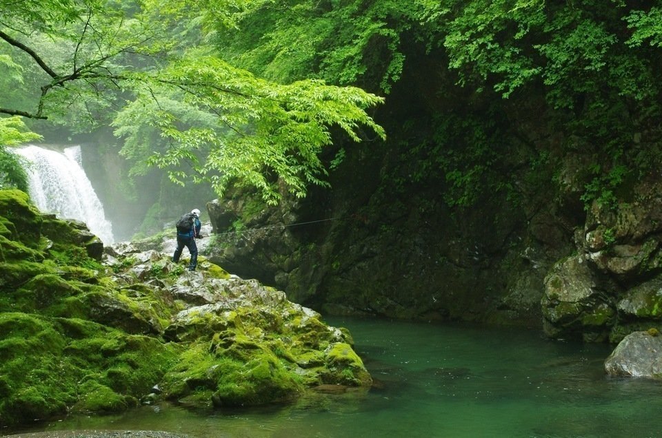 テンカラ釣り　写真