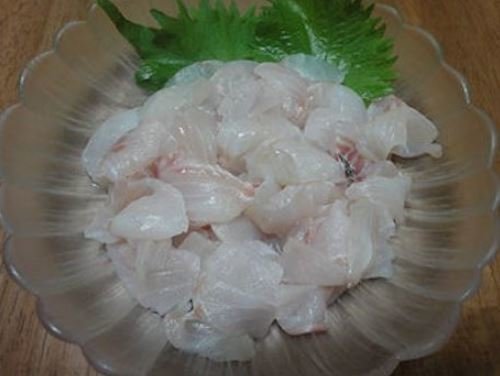 シーバスの洗いの写真