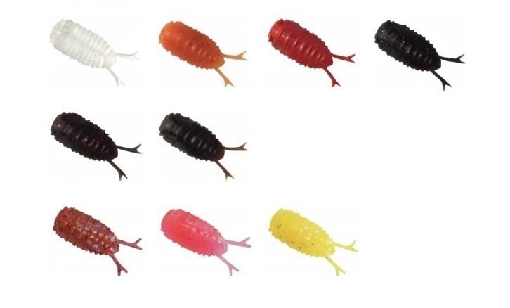 ビーローチ 写真