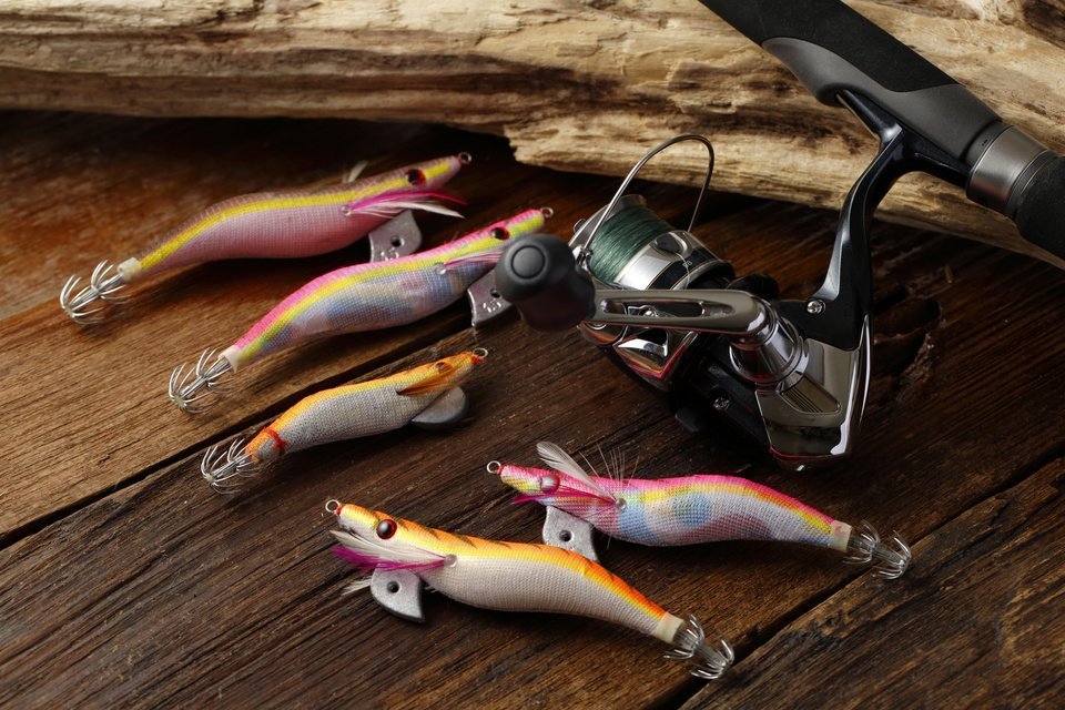 餌木　エギング　写真