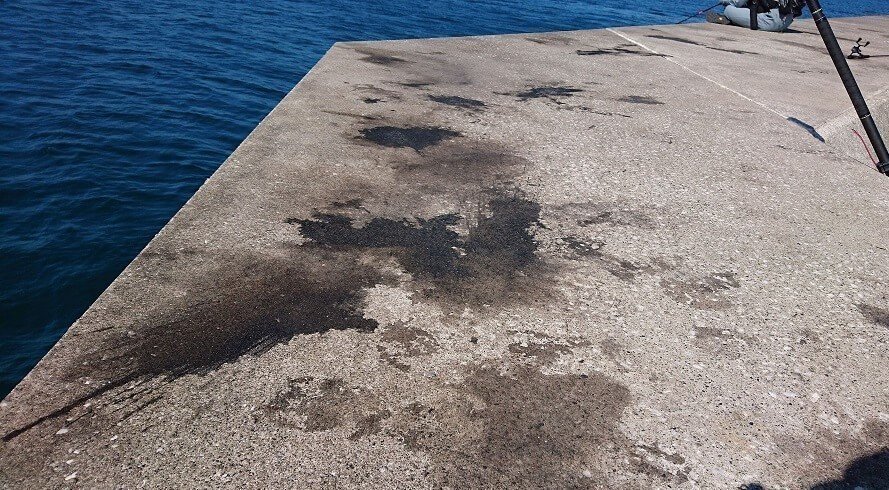 スミ跡　釣り場　初心者