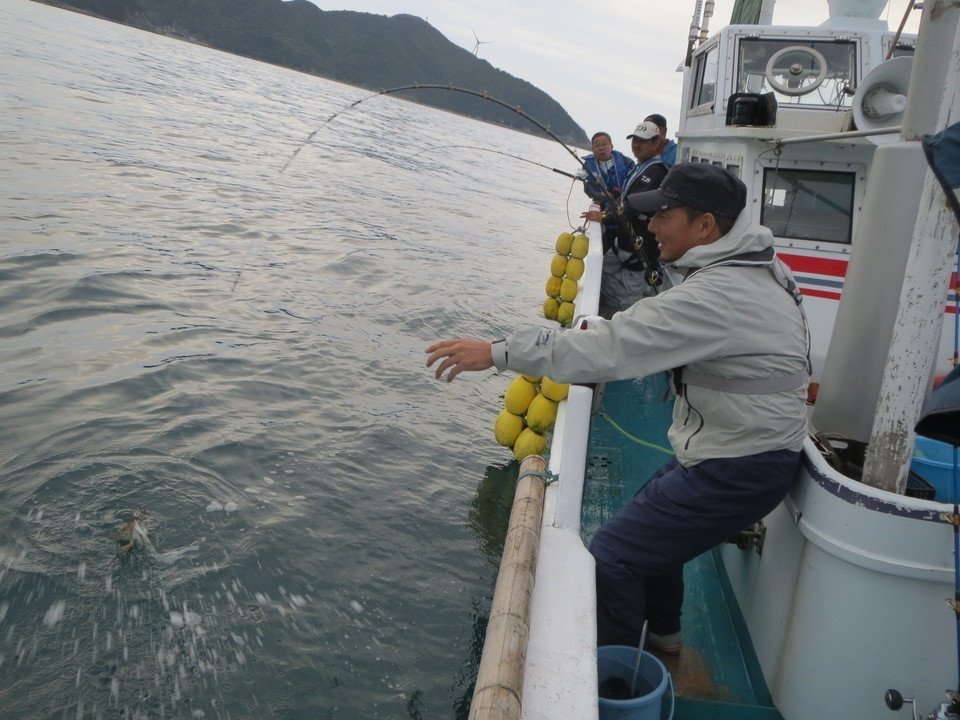 エギング　釣り人　釣行　写真
