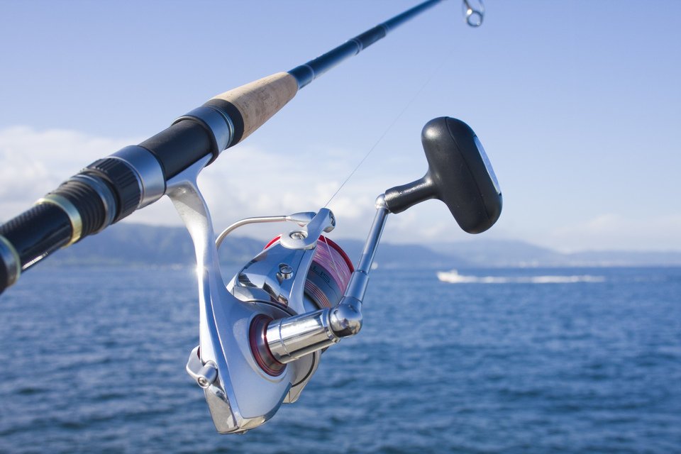 リール　海　写真