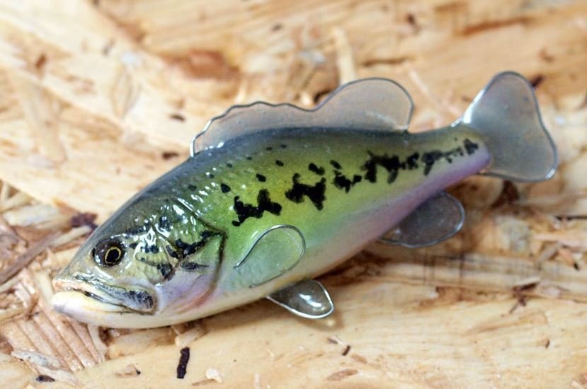 ブローチ　写真