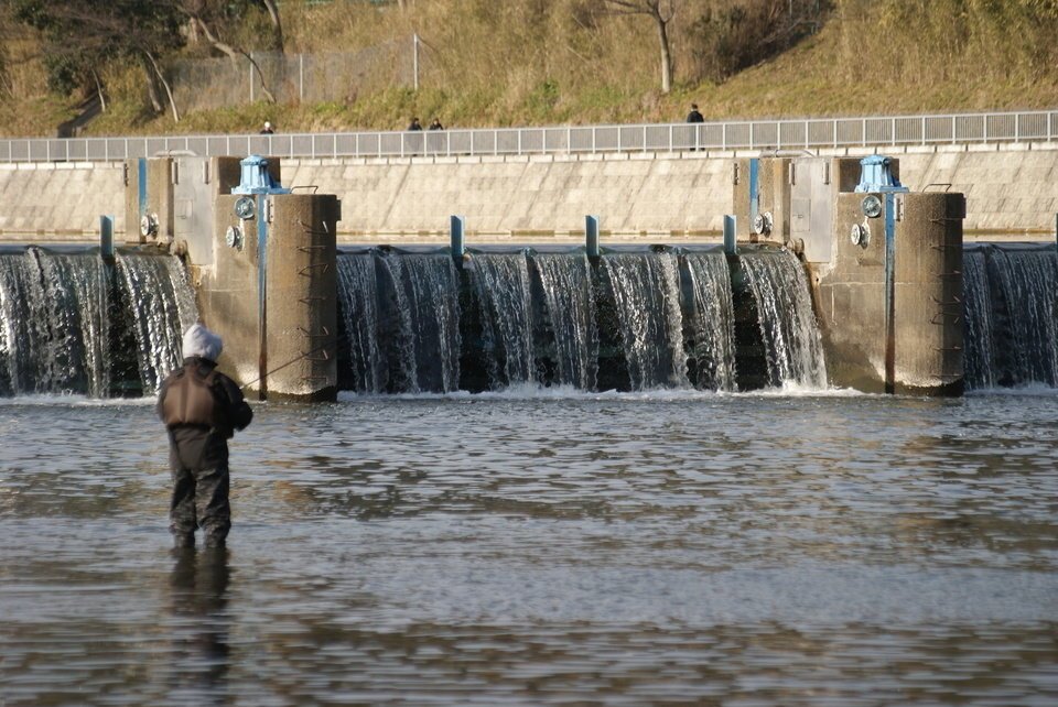 多摩川 釣り人 写真