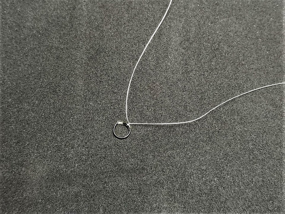 PEライン　写真