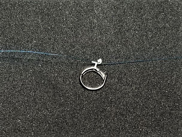 中ハリス　ハナカン　写真