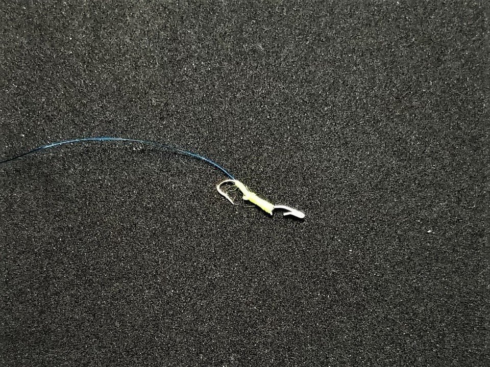 中ハリス　サカバリ　写真